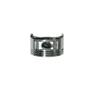 Piston An011000146