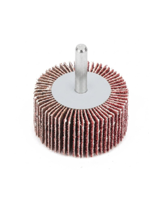 Lija Montada Perno 6Mm 25X15Mm Gr 220
